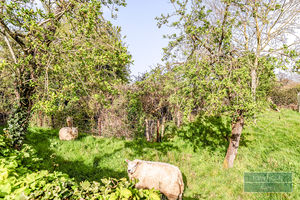 Photo 18- click for photo gallery